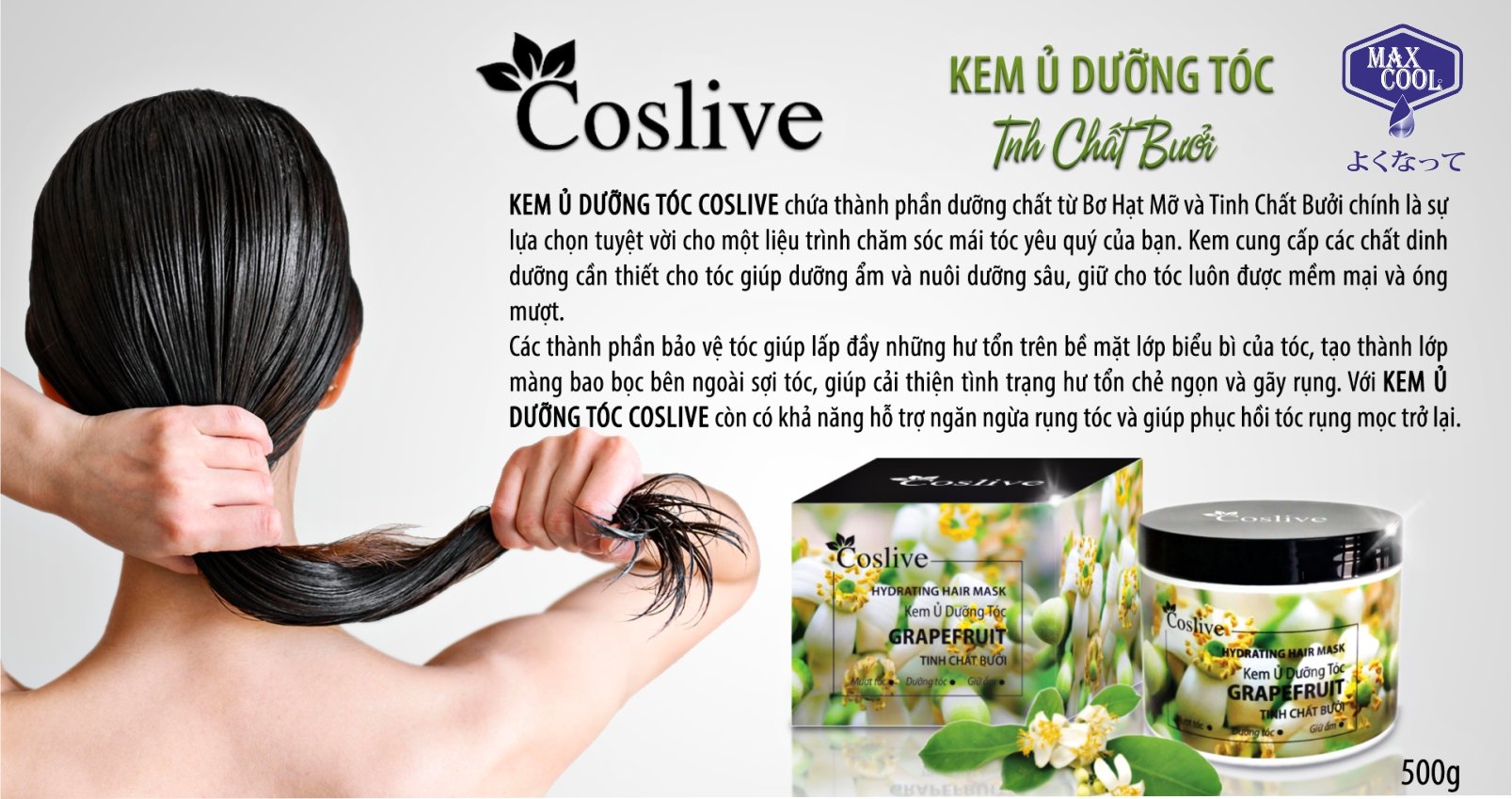 Kem Ủ Dưỡng Tóc Tinh Chất Bưởi Coslive 500gr