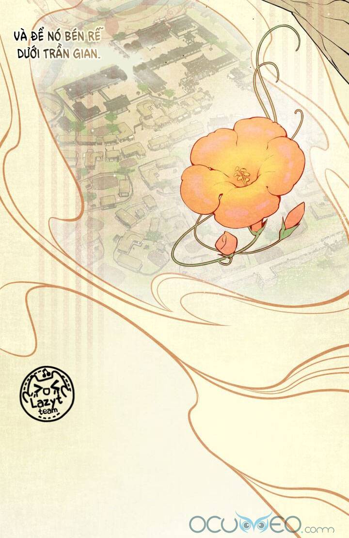 khi hoa nở chapter 1 24