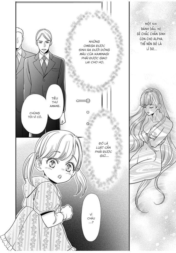 bạn đời dối trá chapter 15 25