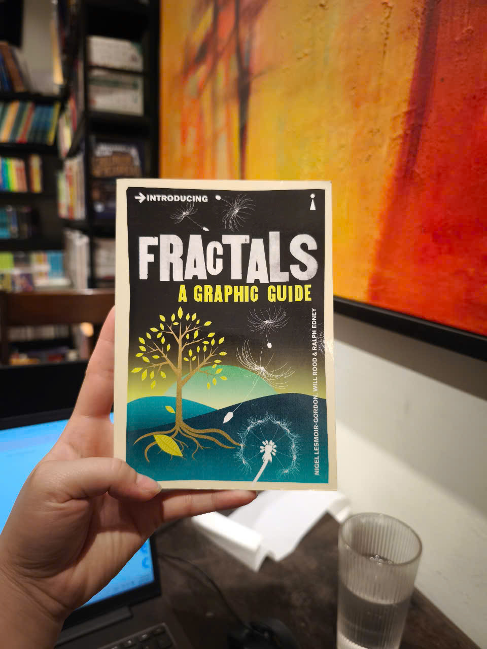 Sách - Introducing Fractals: A Graphic Guide by Nigel Lesmoir-Gordon - Science / Nonfiction