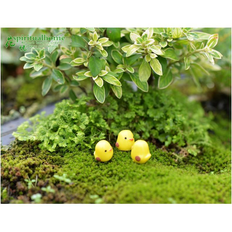Tiểu cảnh mini ️ Gà vàng nhỏ H070 chơi trong vườn trang trí sen đá, sân vườn, bể cá, tiểu cảnh