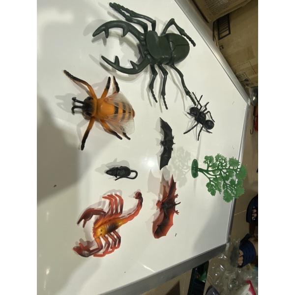 Bộ đồ chơi côn trùng bằng nhựa mô phỏng các loài côn trùng sống trong tự nhiên