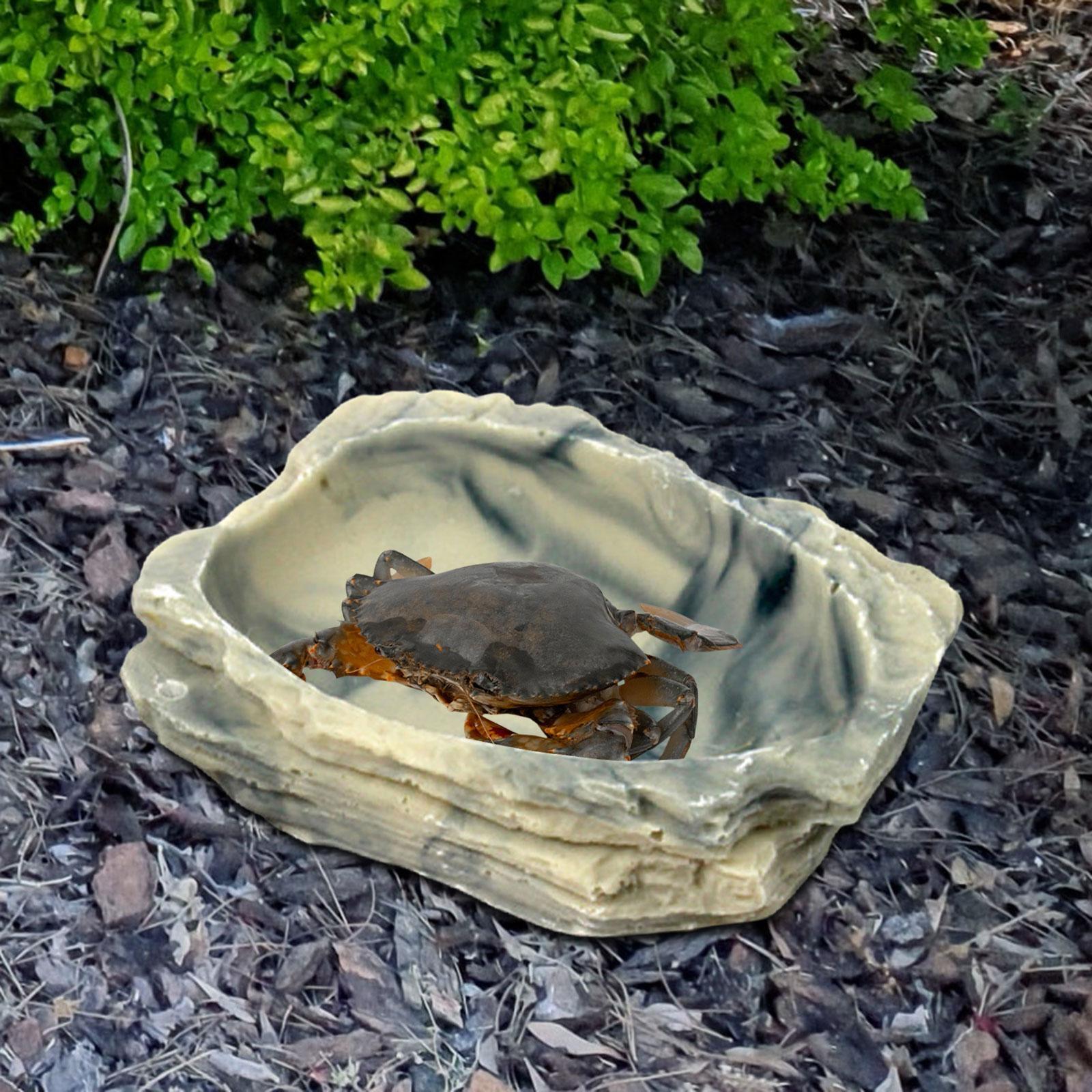 Reptile  Bowl Feeding Bowl Resin Food Feeder for Frog Dragon Gecko