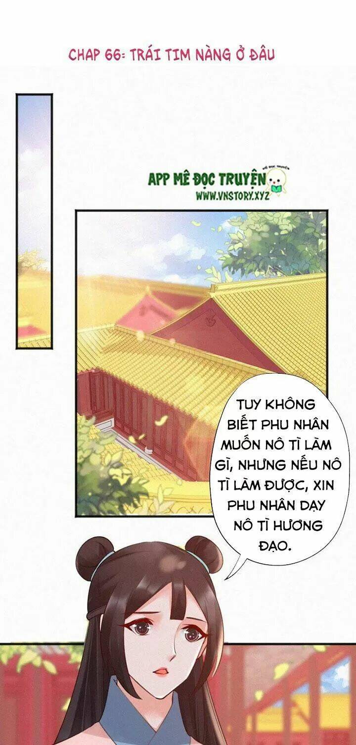 thiên hương mỹ nhân chapter 66 1
