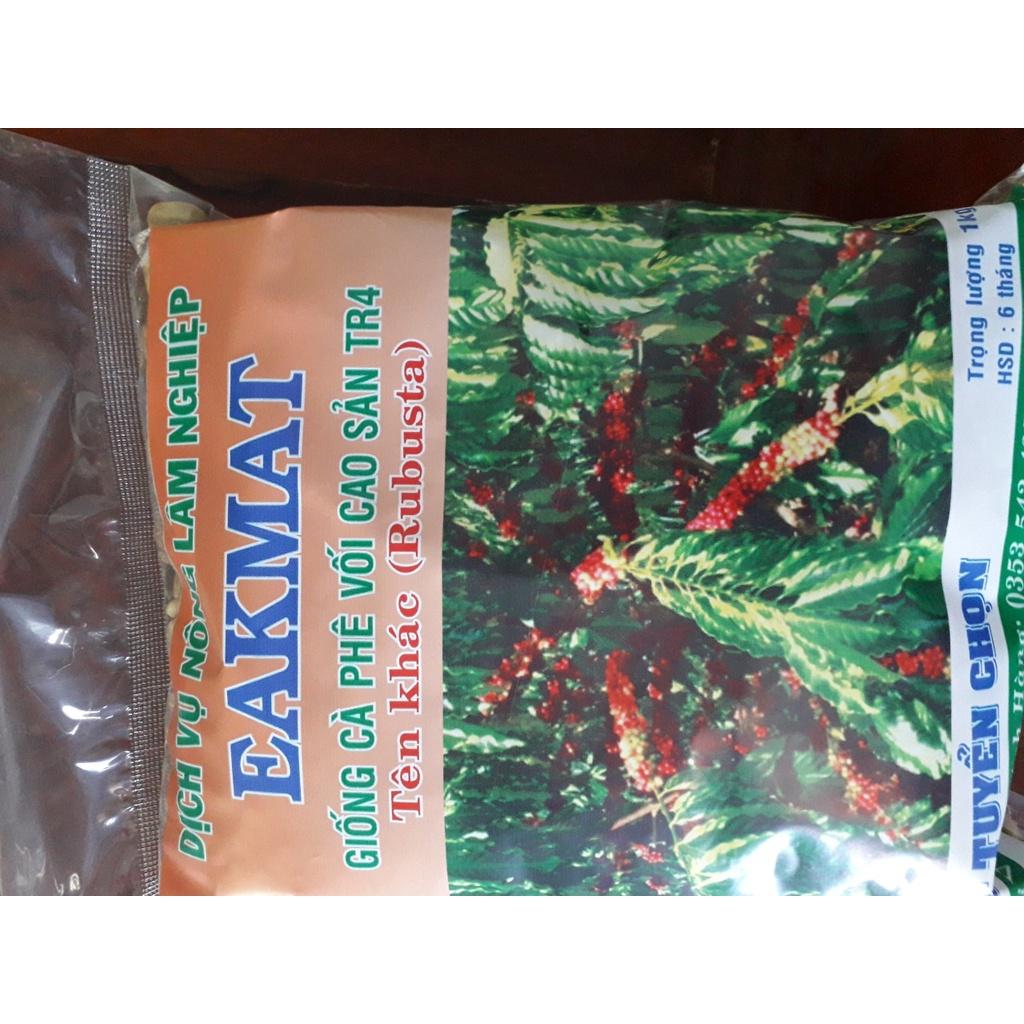 500 GRAM HẠT GIỐNG CÀ PHÊ TR4 CAO SẢN .