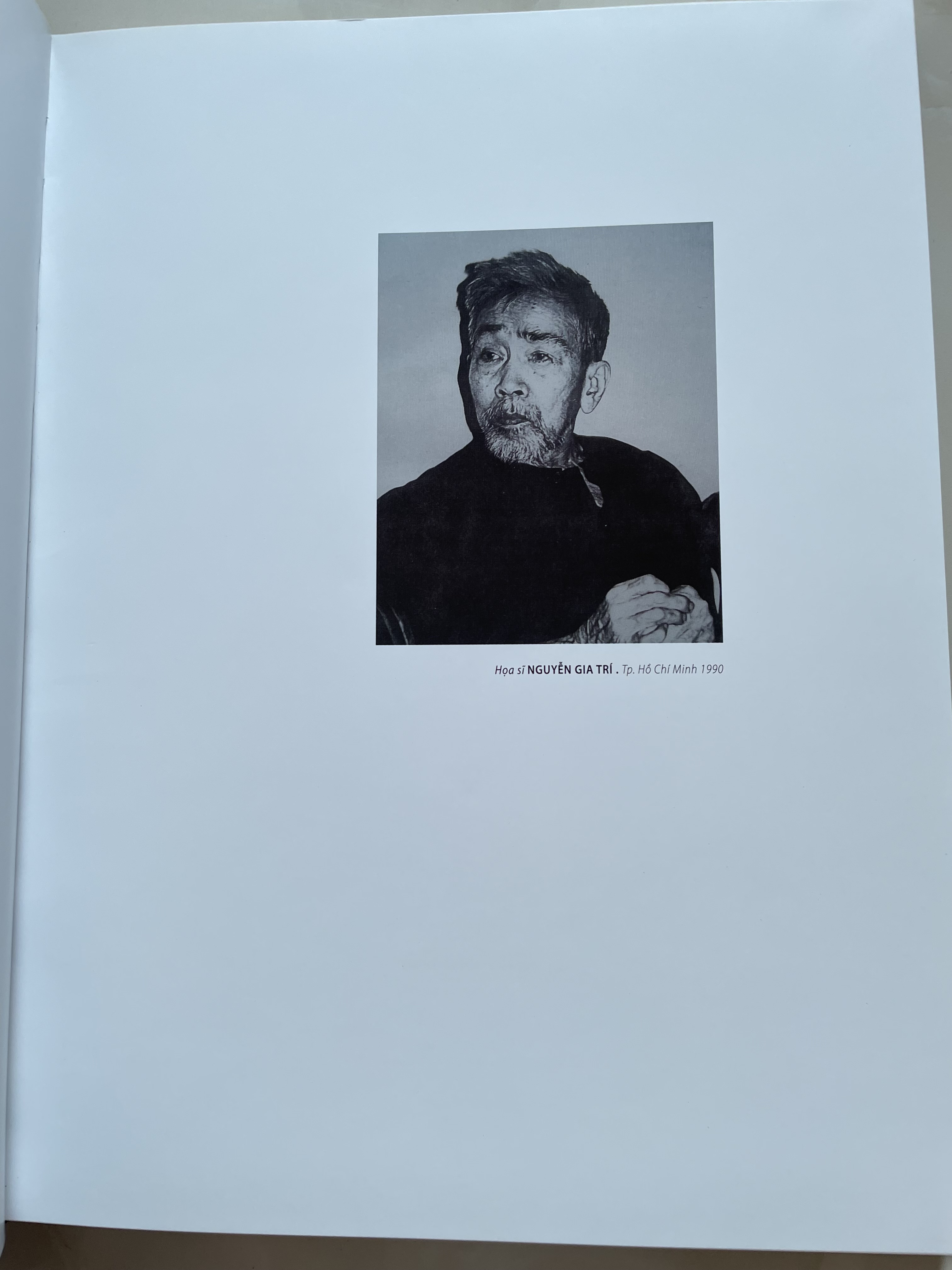 CÁC HOẠ SĨ VIỆT NAM ĐƯƠNG ĐẠI (BÌA CỨNG)