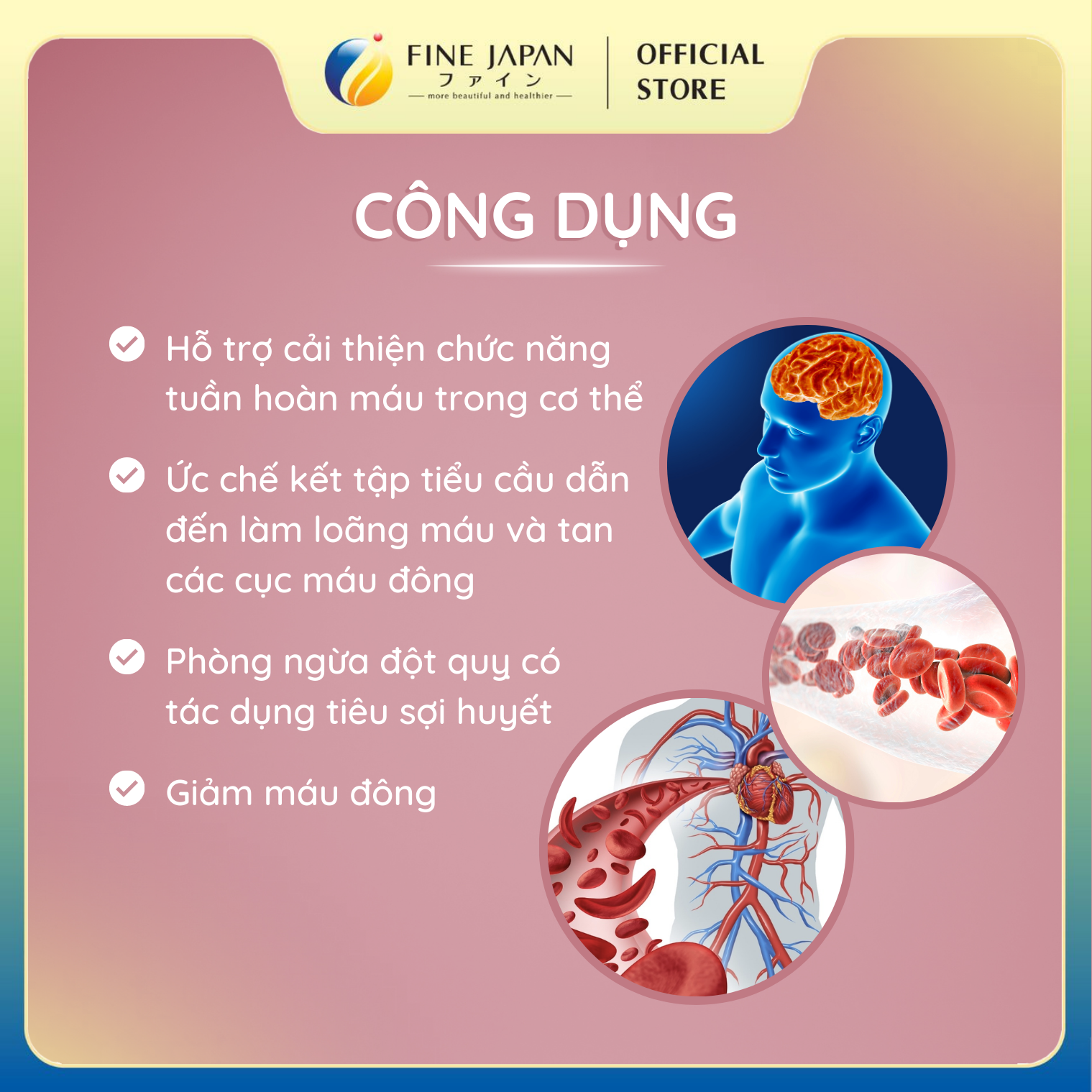 Viên Uống Hỗ Trợ Điều Trị Tai Biến, Đột Quỵ Natto Kinase 6000FU FINE JAPAN Hộp 90 Viên
