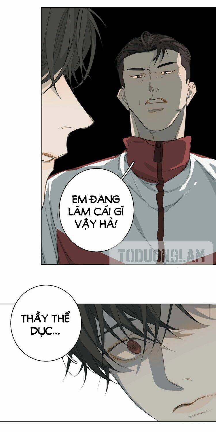 xúc bất khả cập chapter 4 7