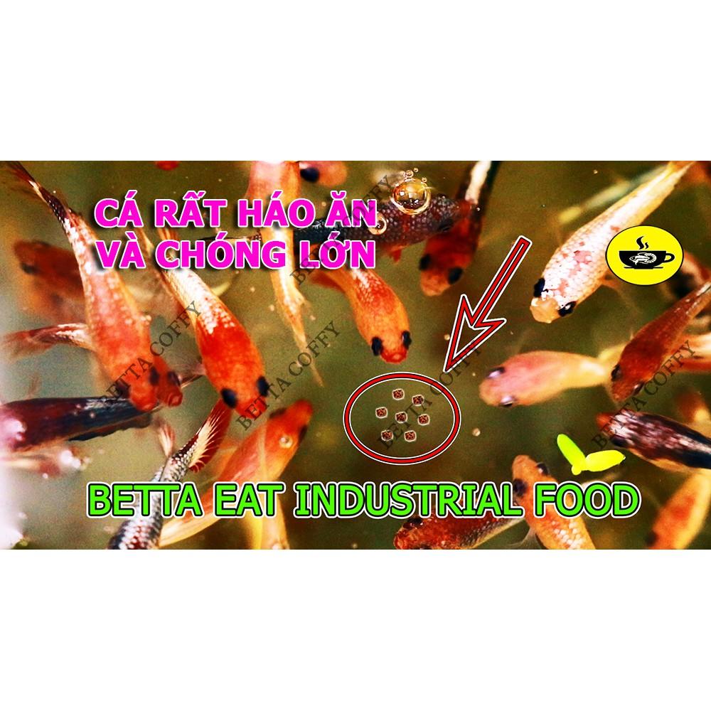 Dung dịch giảm pH hồ cá BETTA COFFY ️