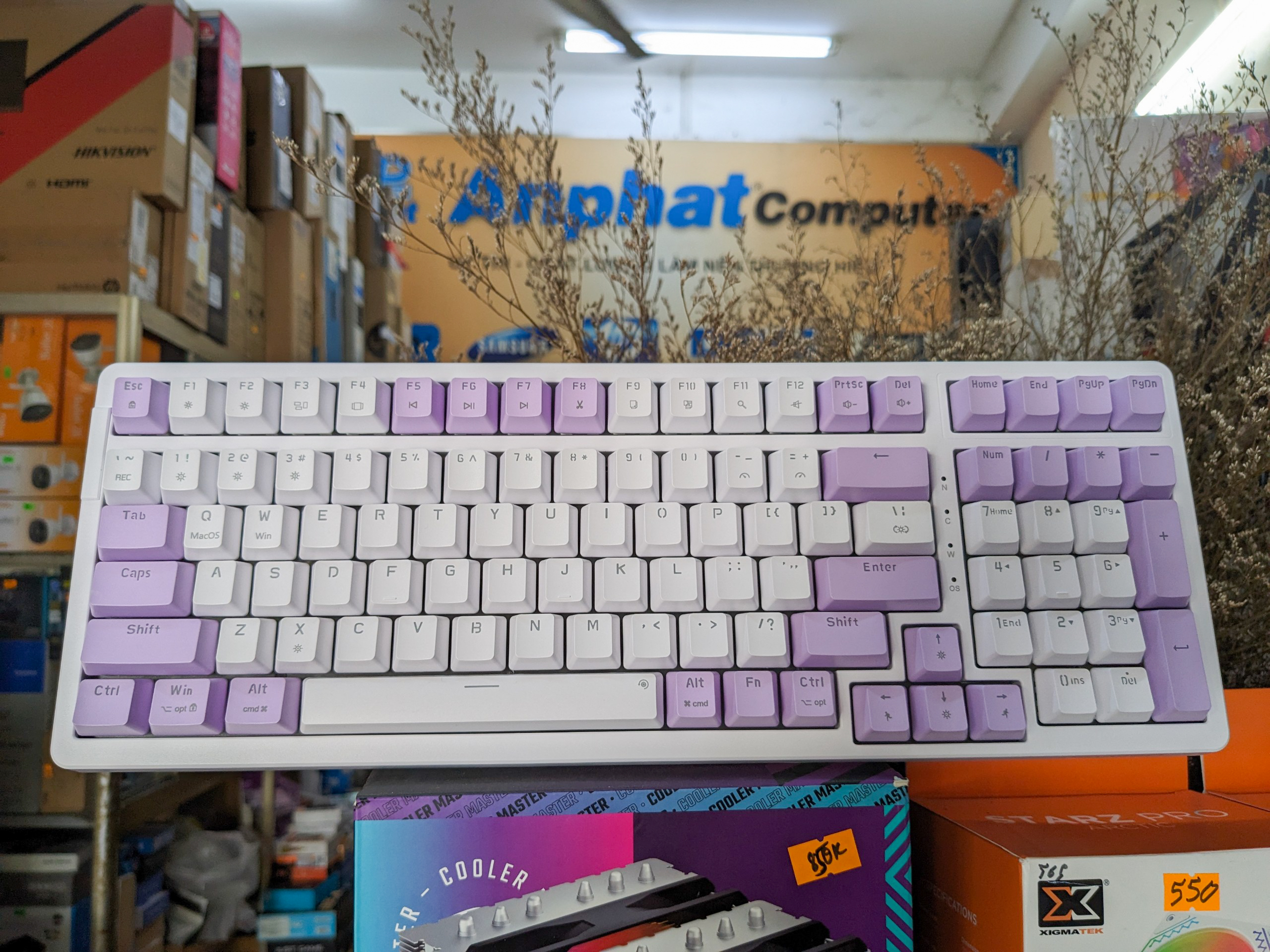 Bàn phím cơ NEWMEN GM328 Purple-White Blue switch - Hàng Chính Hãng