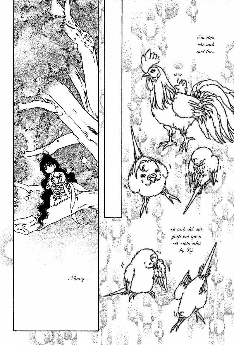 bird of youth chapter 6 34