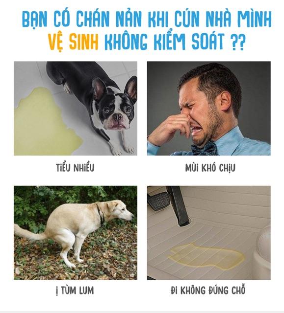 TÃ LÓT CHUỒNG CHO CHÓ MÈO (10 miếng