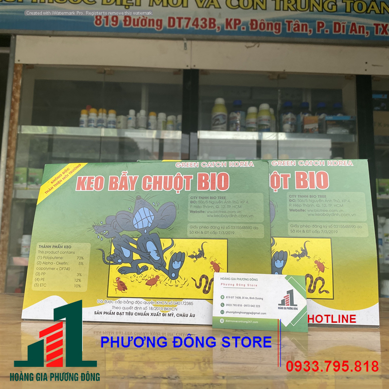 Keo dính chuột giấy