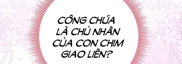 công chúa của loài chim chapter 50.1 238