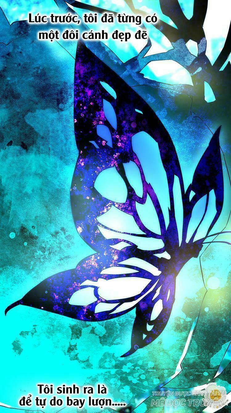 nở rộ trên bụi gai chapter 1 7