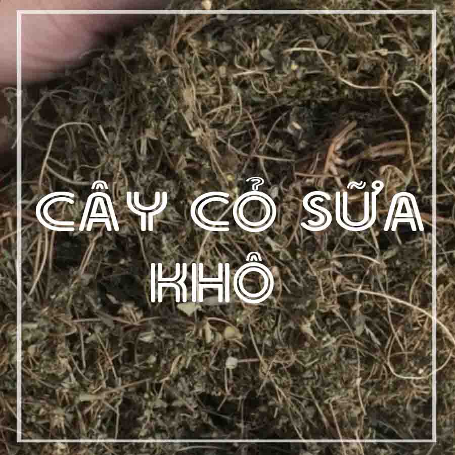 500g Cây cỏ sữa lá lớn khô sạch