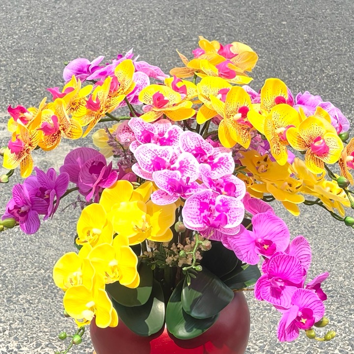 Chậu Hoa LAN HỒ ĐIỆP 12 Nhánh  cao su nhân tạo trang trí nhà cửa