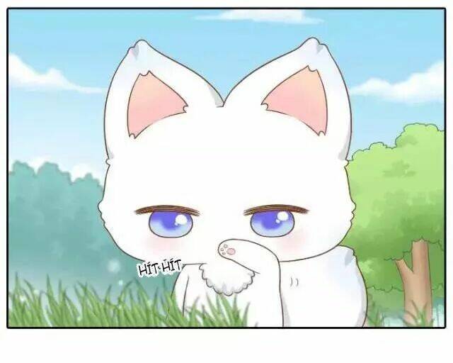 tiểu hồ ly vs tiểu hóa thượng chapter 42 20