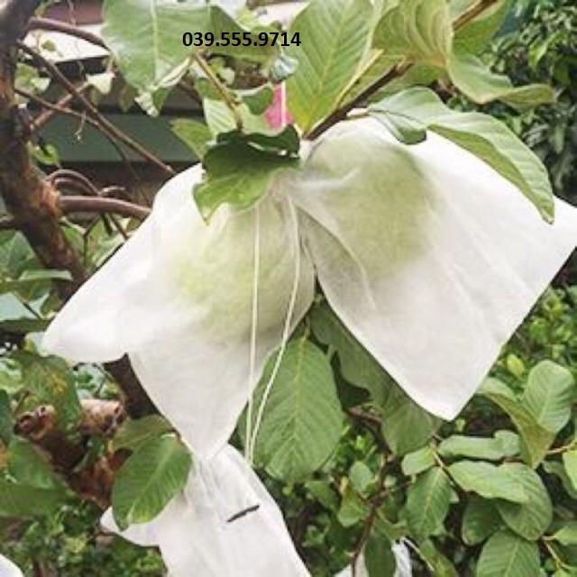 100 túi bọc Ổi, Na - kích thước 18x18