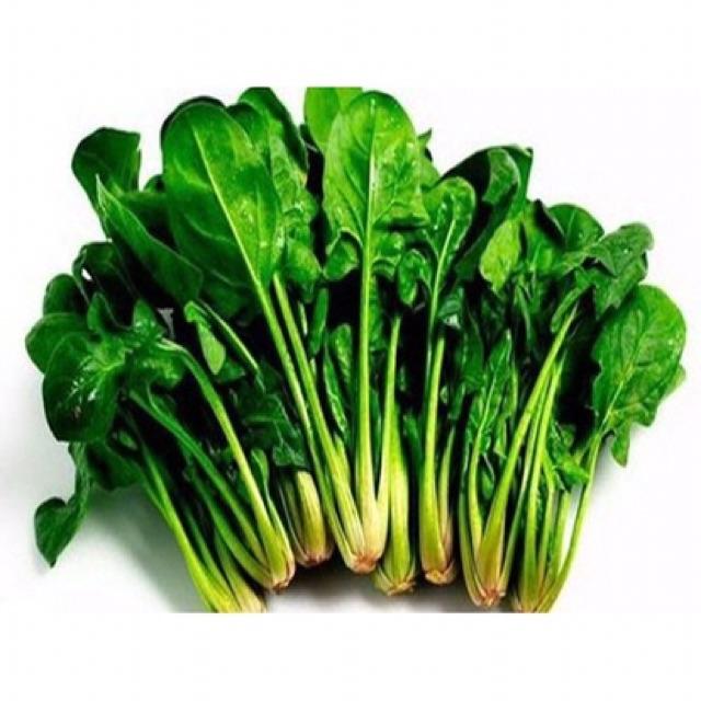Hạt giống rau cải bó xôi chịu nhiệt F1 (rau chân vịt, rau bina)