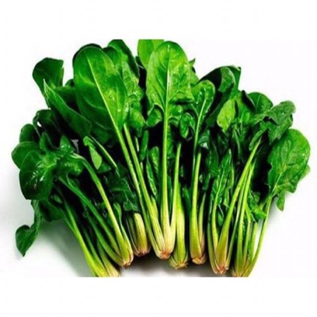 Hạt giống rau cải bó xôi chịu nhiệt F1