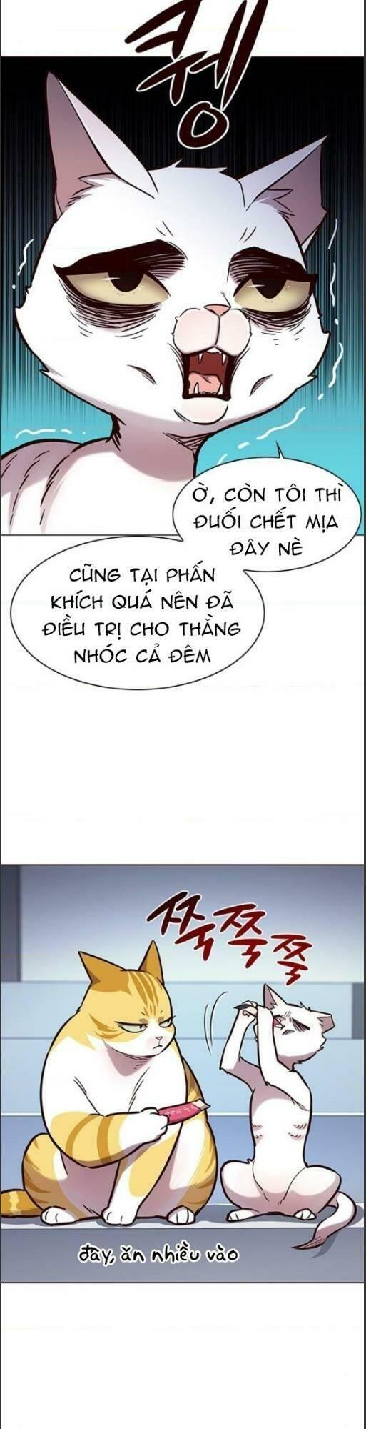 biến thân thành mèo chapter 159 2