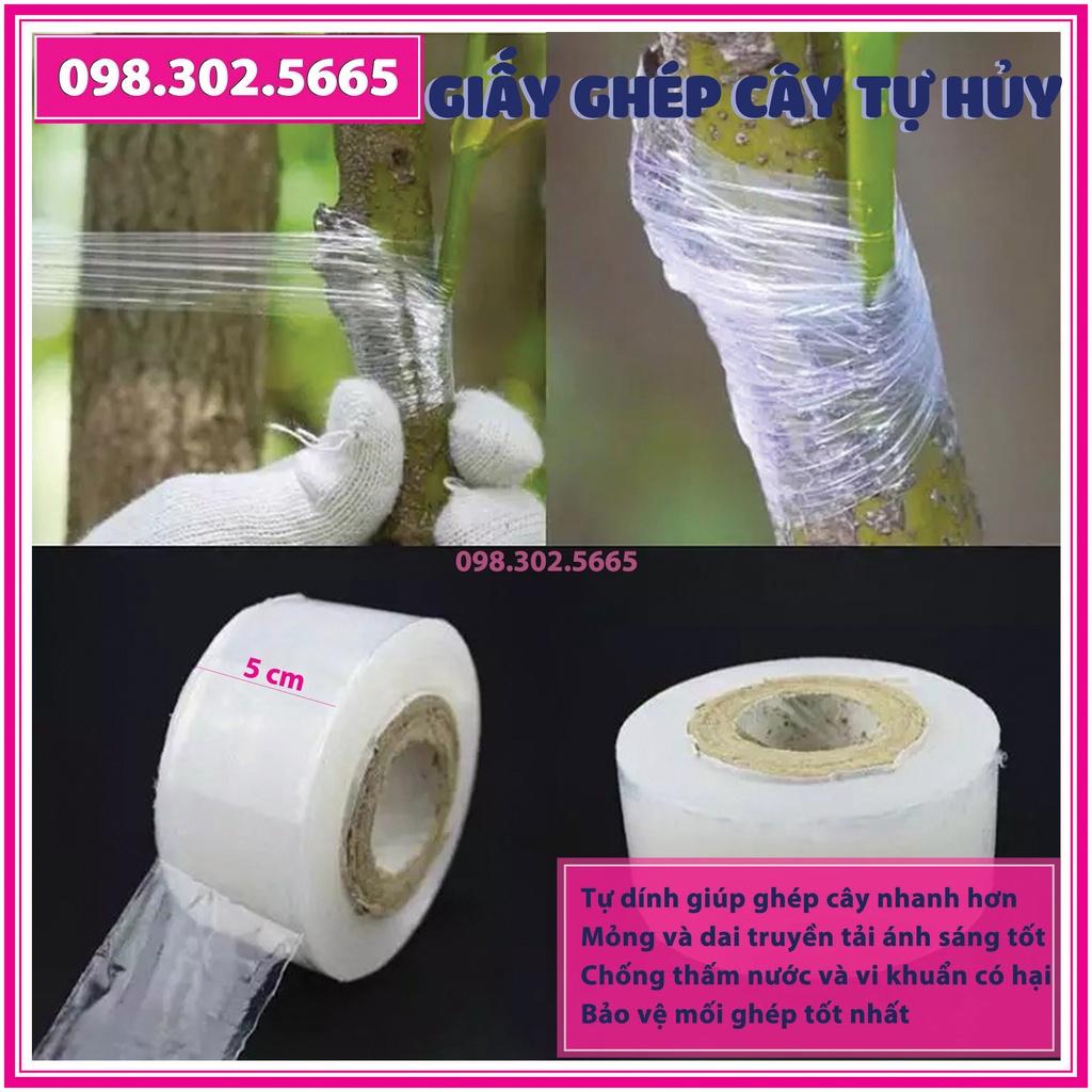 Cuộn giấy ghép cây tự hủy - khổ 5 cm - dùng cho ghép cành, ghép tán, tạo dáng cây