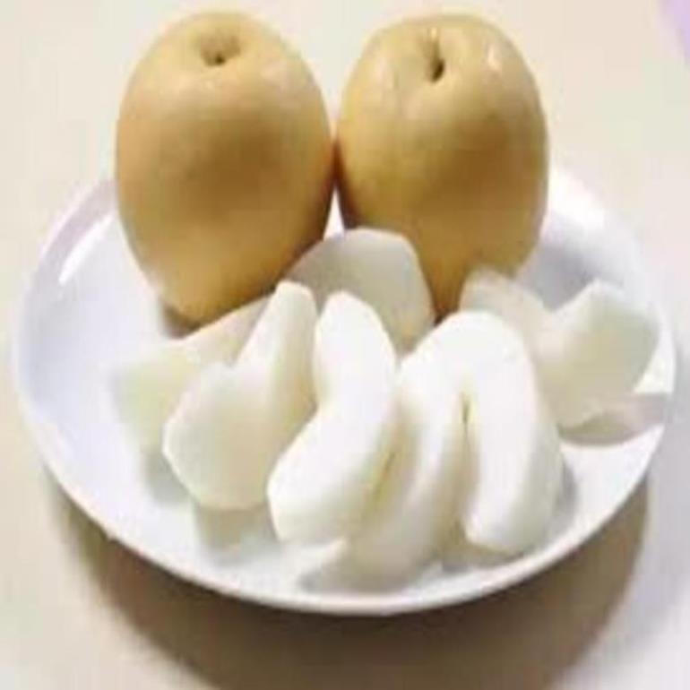 Cây giống Lê nâu Cây giống chuẩn cho năng suất cao