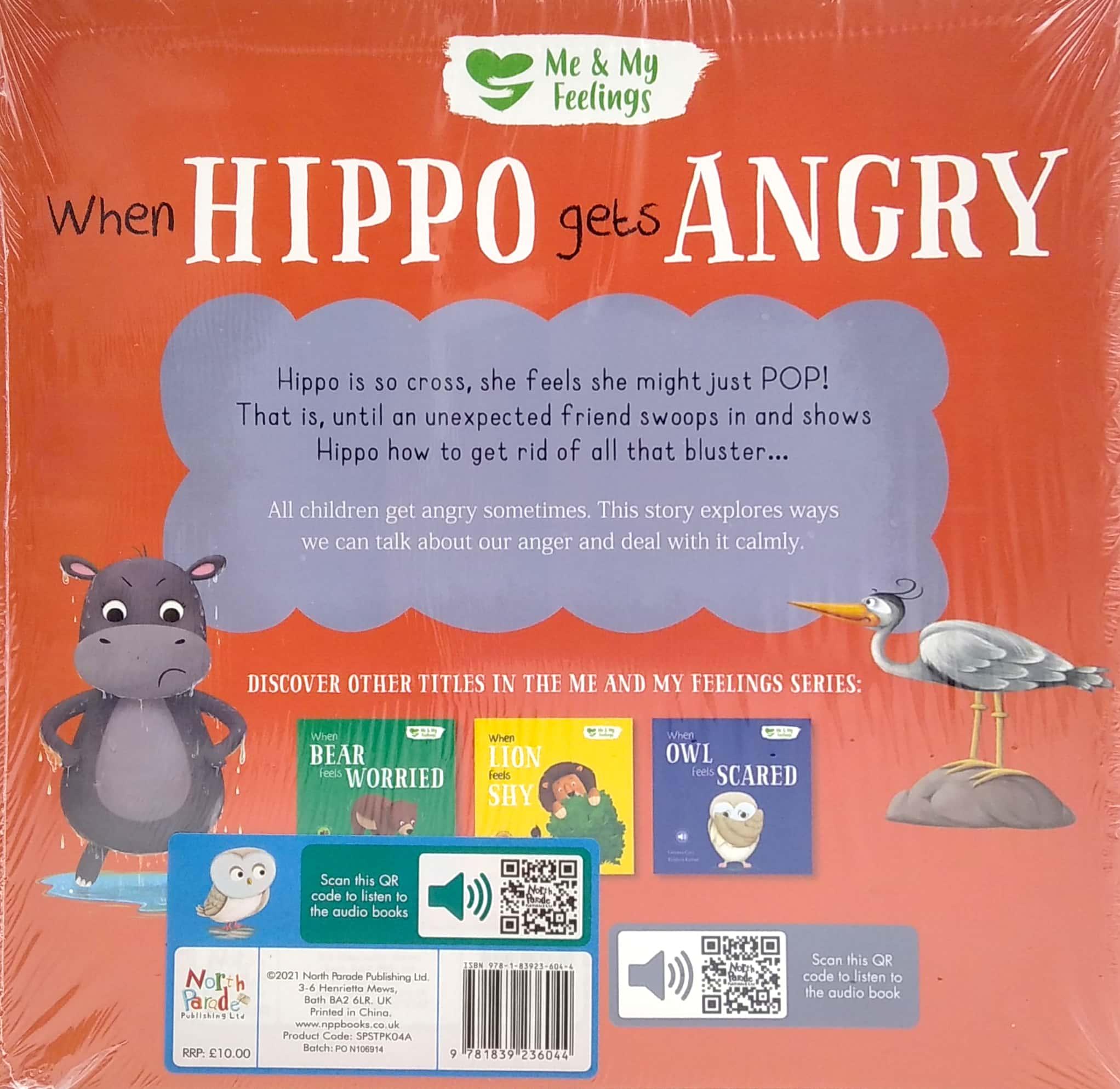 Pack Of 4 My Feelings Storybooks