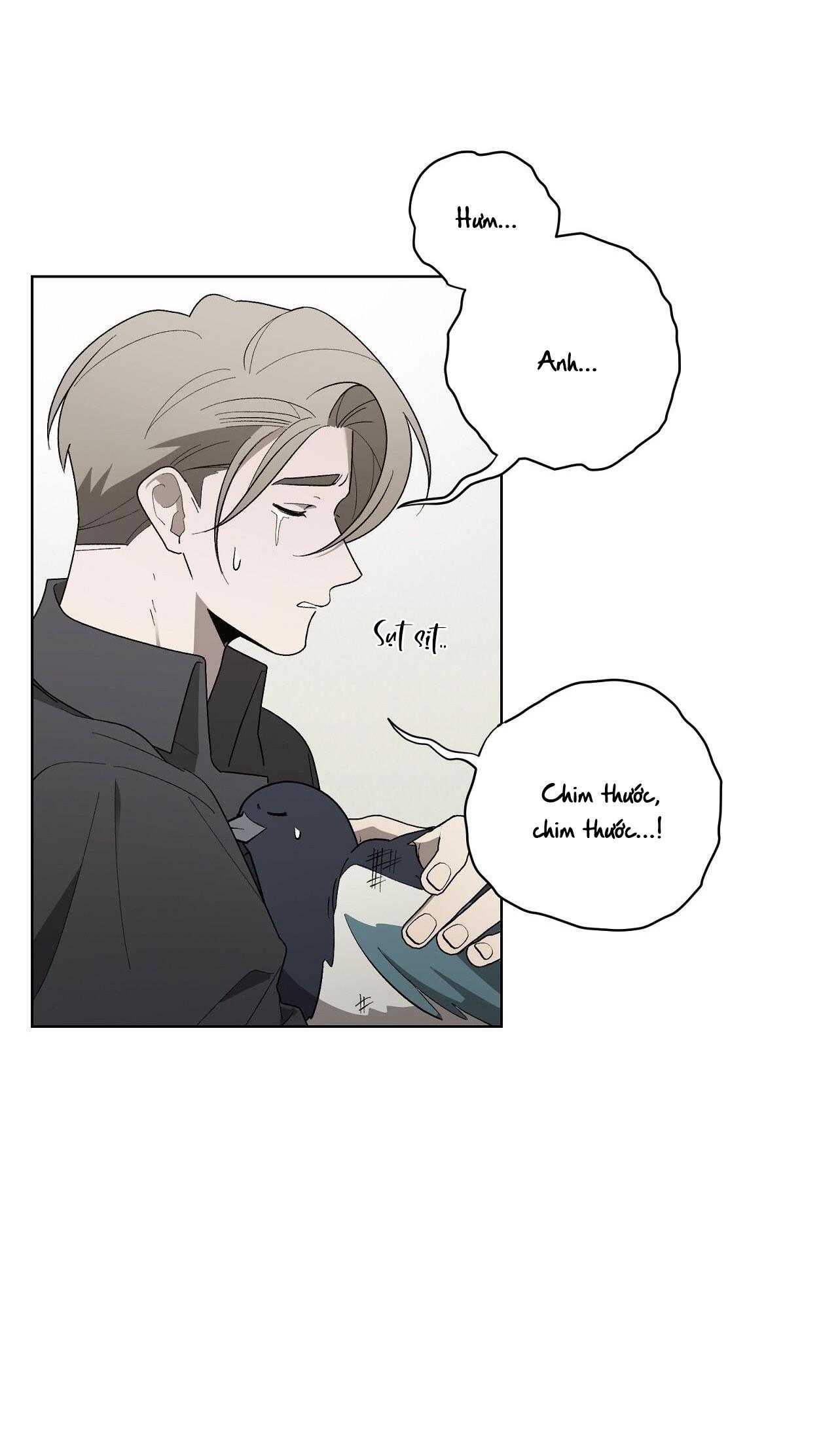 khi chim thước đến chapter 13 6