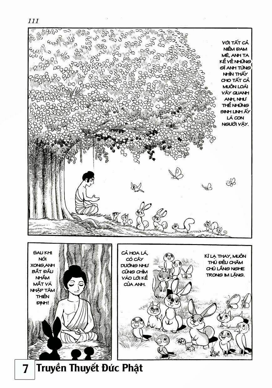 buddha - truyền thuyết đức phật chapter 33 5