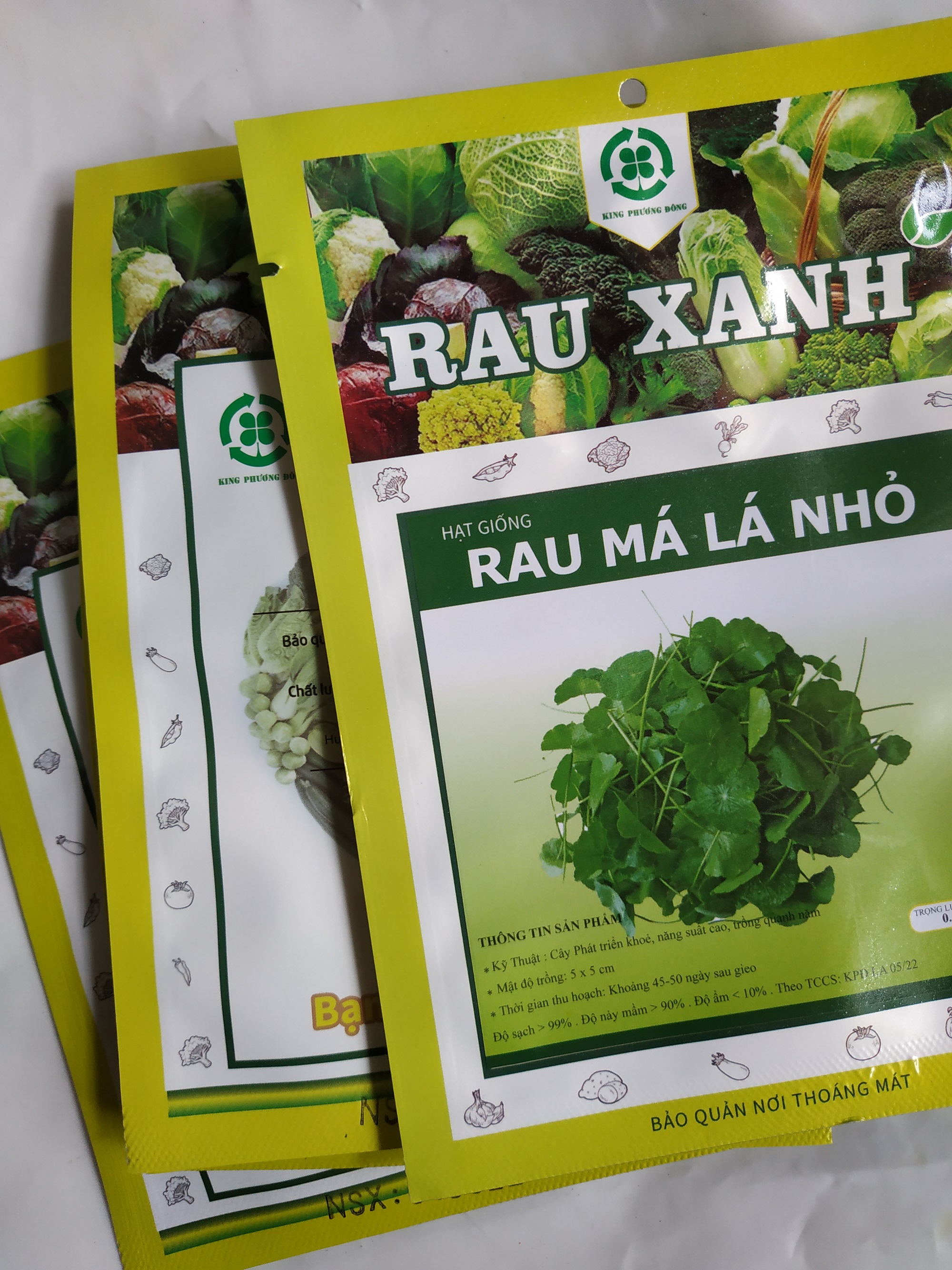 Combo 5 gói Hạt giống RAU MÁ LÁ NHỎ - gói 0.5 gram