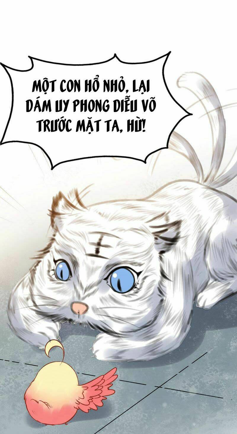 thịnh sủng kiều nữ trở về triều ca chapter 33 10