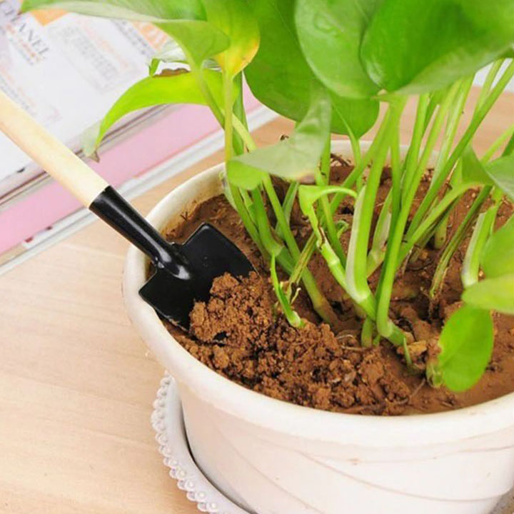Bộ làm vườn mini