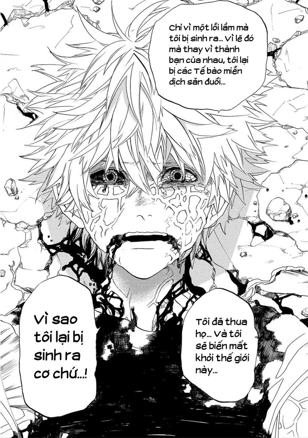 hataraku saibou! chapter 9 41