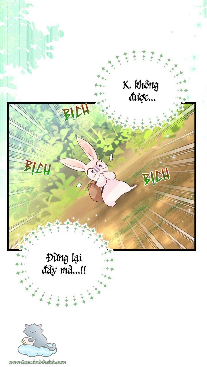 quan hệ cộng sinh giữa báo đen và thỏ trắng chapter 61 64