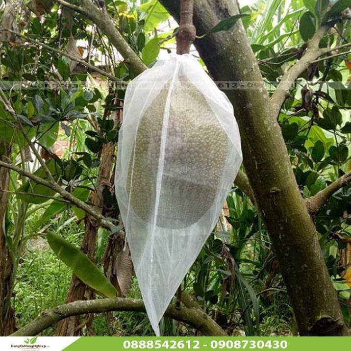 TÚI BỌC BƯỞI VẢI LƯỚI MÙNG CÓ DÂY RÚT SÉT 100 CÁI KÍCH THƯỚC 30X35CM