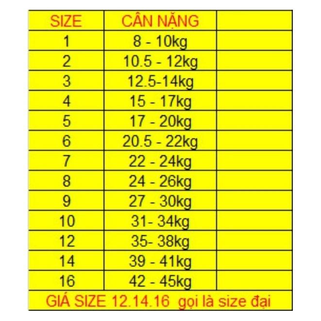 Áo dài cách tân Set mẹ và bé lụa Mỹ thêu - V09