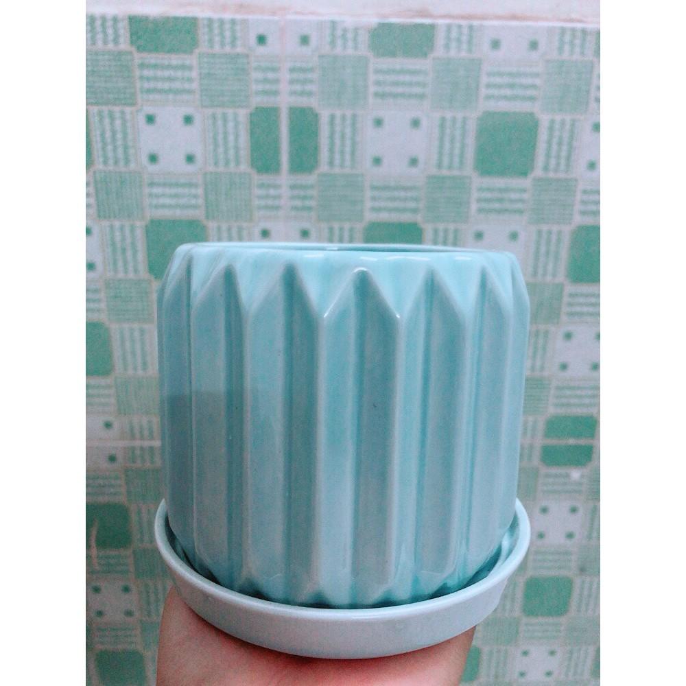 Cây Cau Tiểu Trâm Kèm Chậu Sứ