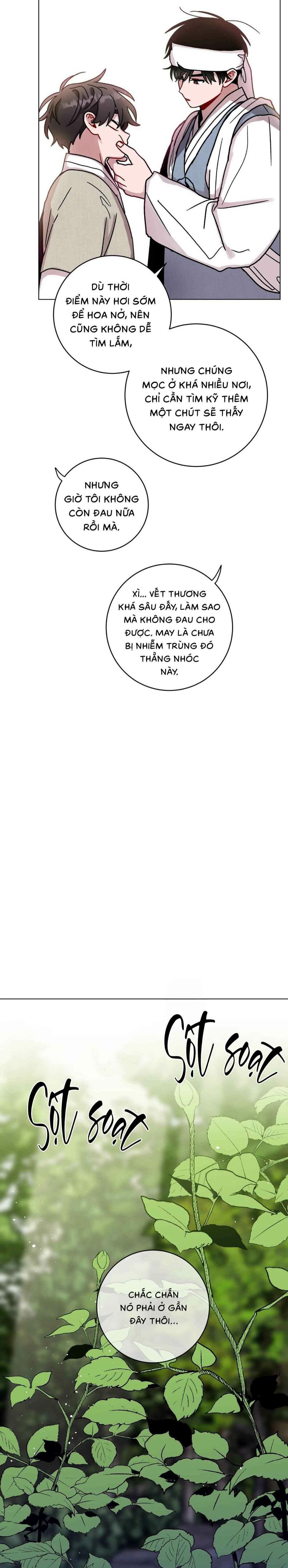 cơn mưa rào mùa hạ chapter 87 14