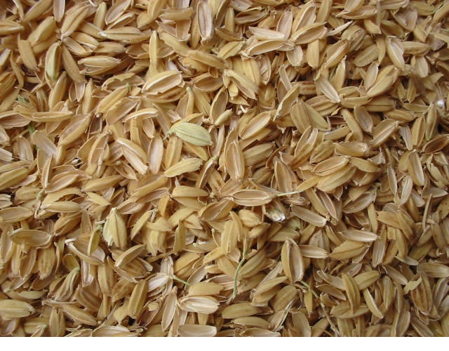 Giá Thể Trồng Cây - Vỏ Trấu Trắng