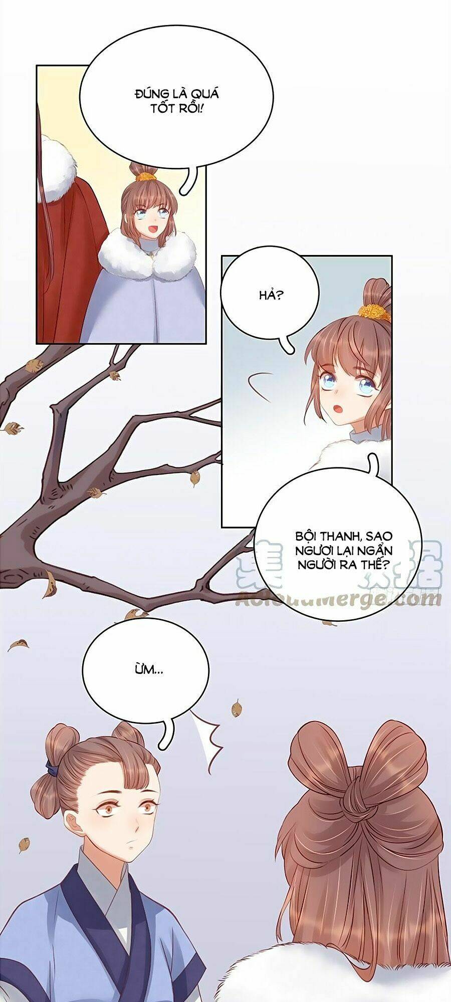 xuân khuê bí lục: xưởng công thái liêu nhân chapter 91 13