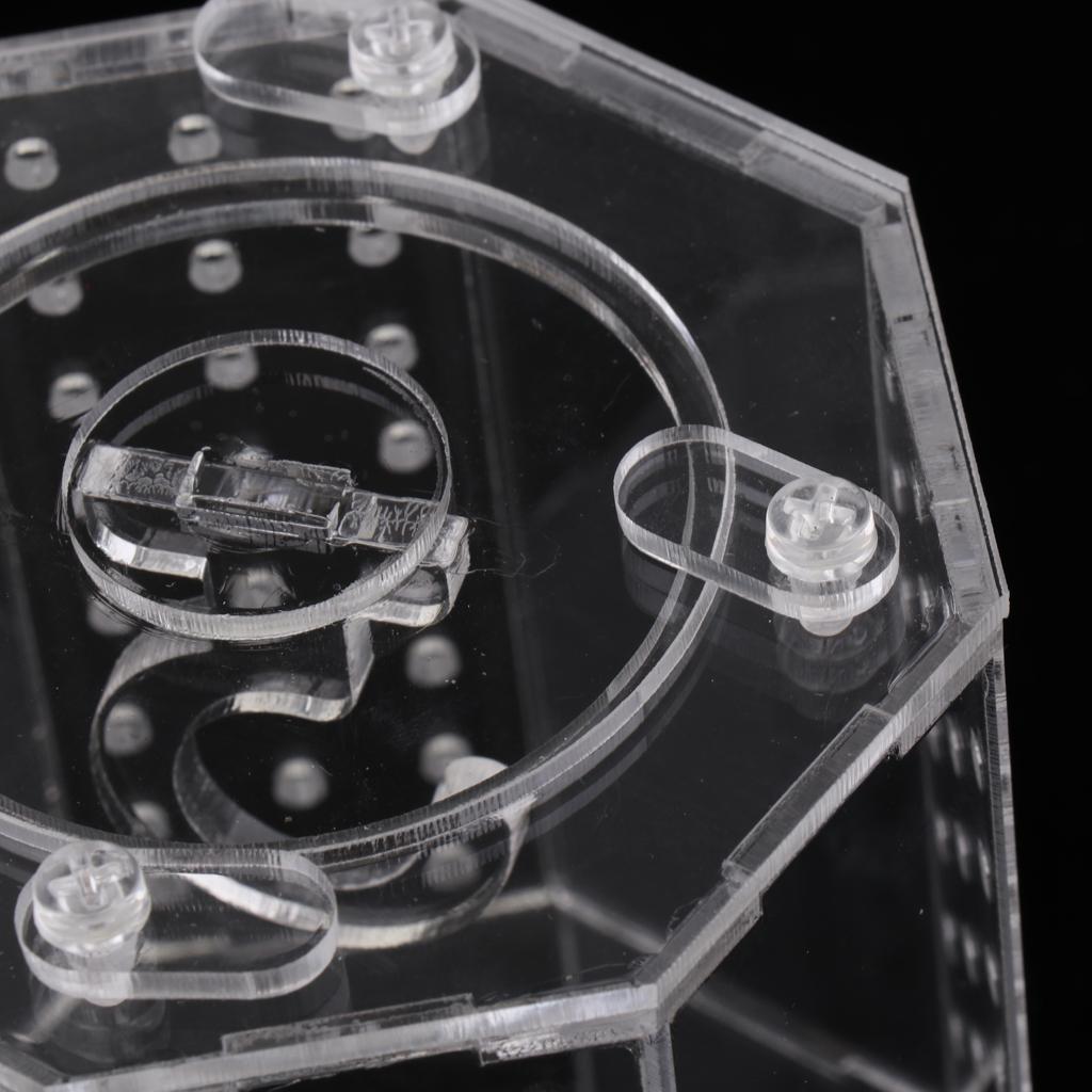 Spider Insect Reptile Tank Vivarium Cage Box Clear Acrylic Terrarium