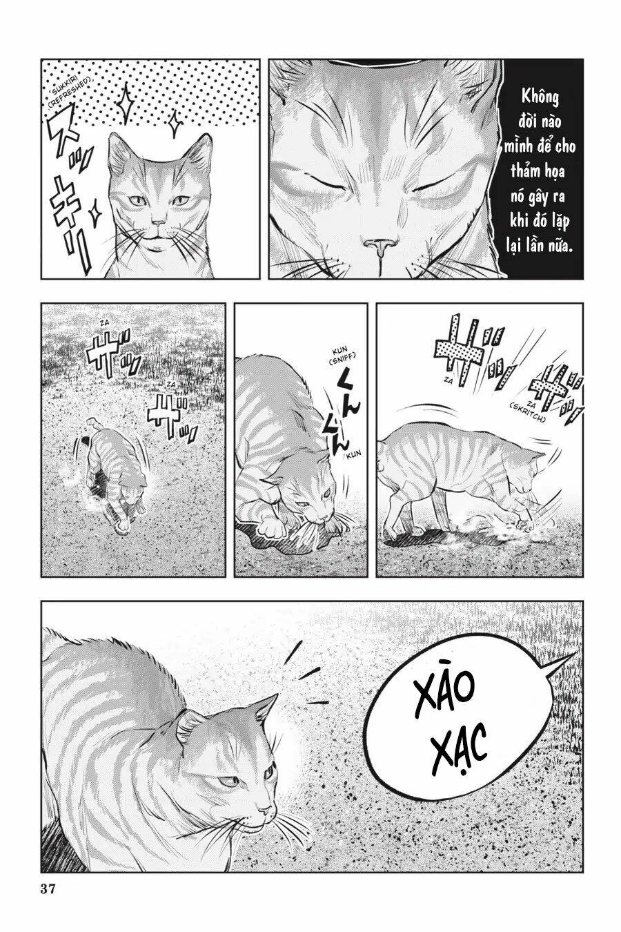 nyankees chapter 12 40