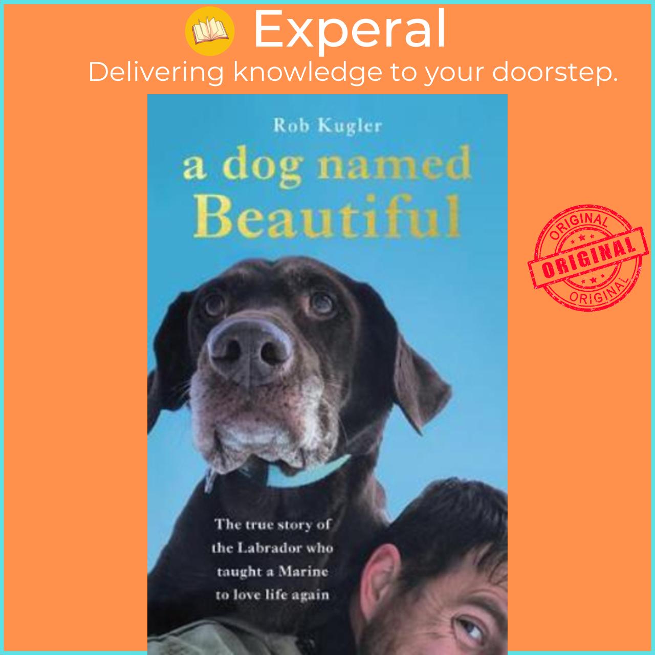 Sách - A Dog Named Beautiful : The true story of the Labrador who taught a Mari by Robert Kugler