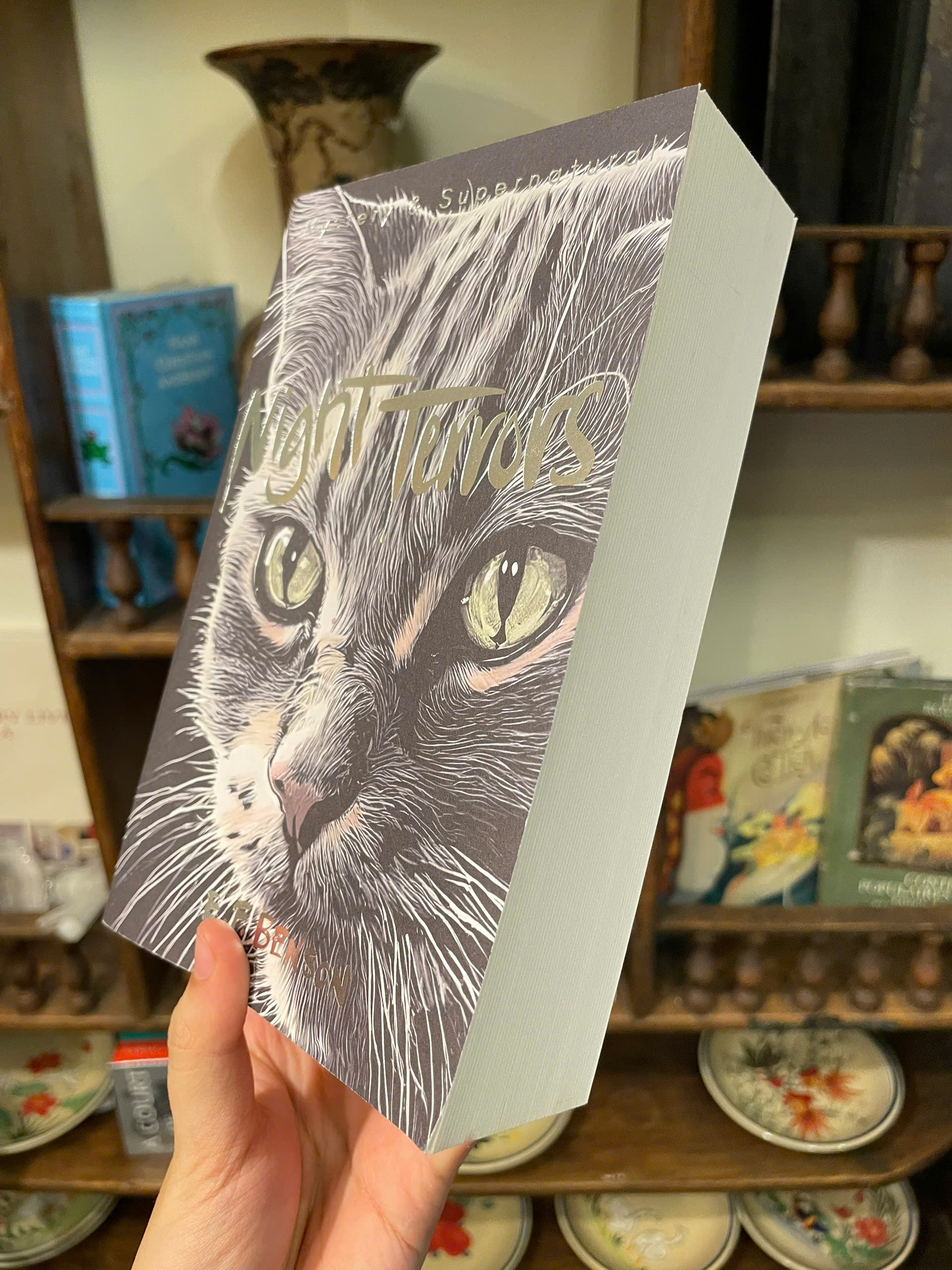 Sách - Night Terrors (Tales of Mystery & The Supernatural) by E.F. Benson | English Ghost Stories