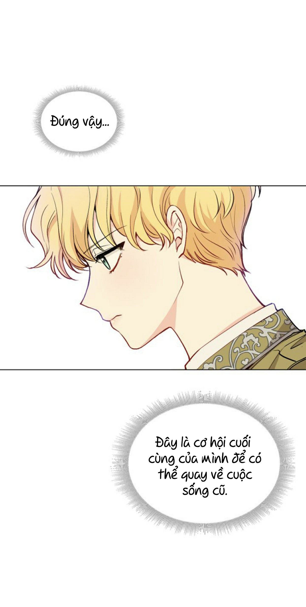 tìm lại nàng camellia chapter 11 1