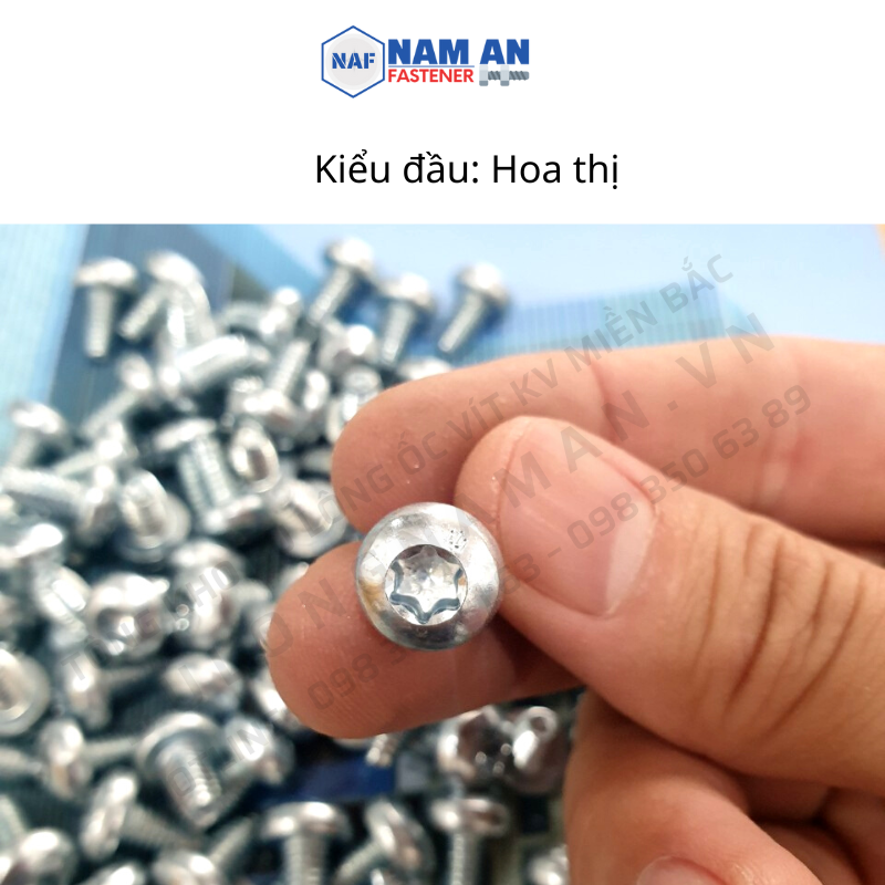 200 con Vít tự tạo ren M4, M5, M6 bake đầu cầu mạ kẽm trắng xanh và Vít tự ren đầu hoa thị M6x10, M6x16