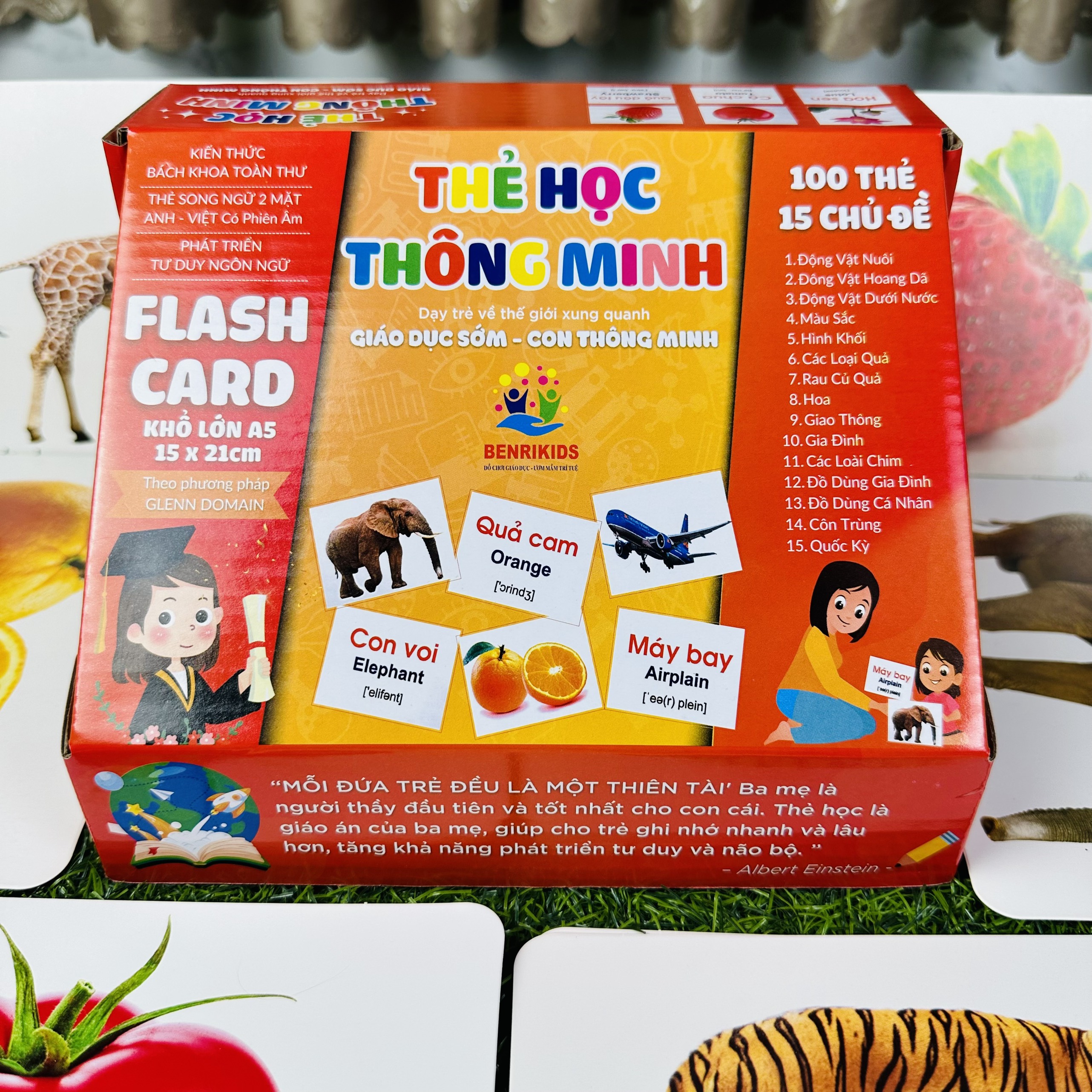 Thẻ Học Thông Minh FlashCard Cho Bé Từ 0 Đến 3 Tuổi Kích Thước Thẻ Lớn 15x21Cm Chống Lóa Không Thấm Nước 100 Thẻ 15 Chủ Đề