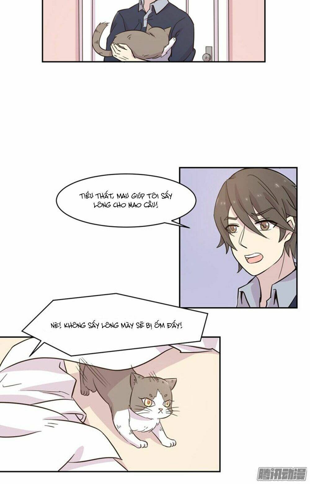 hai chú mèo totem chapter 18 13